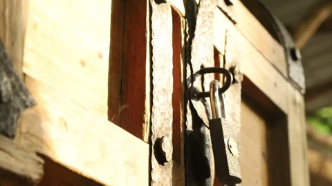 Wooden chest in the forest 2 Video stock 297659641