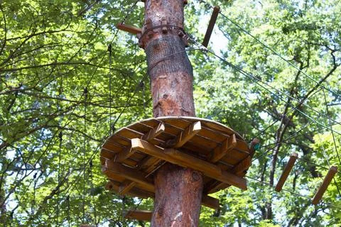 Wooden circular platform installed on a pine tree trunk in rope park Stock Photos