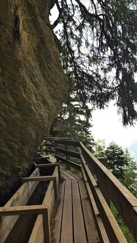 Wooden Cliffside Trail Through Alpine Forest in Switzerland Stock Footage 342751436