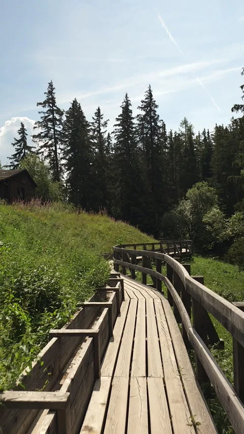 Wooden Cliffside Trail Through Alpine Forest in Switzerland Stock Footage 342752440