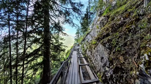 Wooden Cliffside Trail Through Alpine Forest in Switzerland Stock Footage 343556037