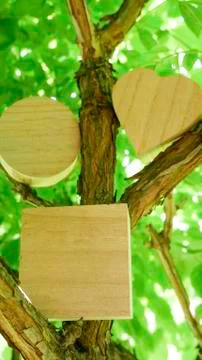 Wooden closed boxes in the shape of a cube, heart and circle in the green branch Stock Photos