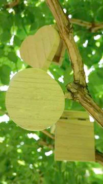 Wooden closed boxes in the shape of a cube, heart and circle in the green branch Stock Photos