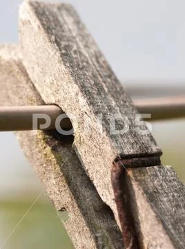 Wooden clothes peg old and aged Stock Photos