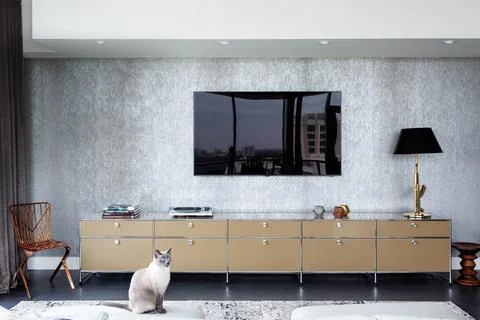 Wooden commode with TV set in apartment interior. Stock Illustration