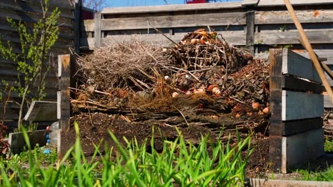 Wooden compost bin filled with dry branches and food scraps in garden Stock Footage 341406833