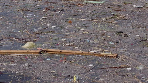 Wooden Construction Materials and Plastic Garbage Thrown into Sea Water 動画素材 305518450