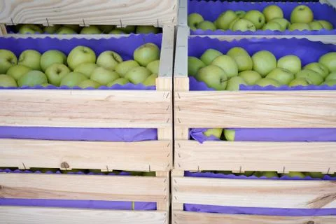 Wooden crate with green apples Stock Photos