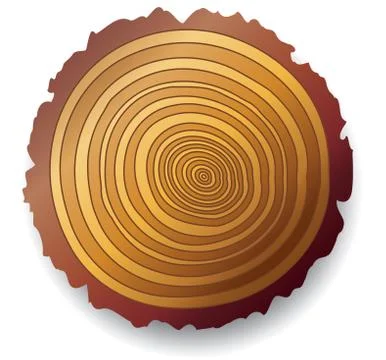 Wooden cross-section of a tree Stock Illustration