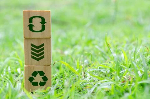 Wooden cube stack with recycle, reuse, reduce icons on green grass. Environ.. Foto stock
