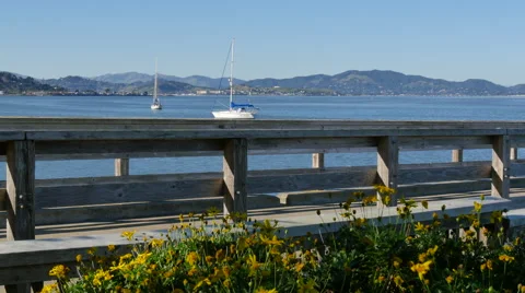 Wooden Deck Stock Footage 50081998