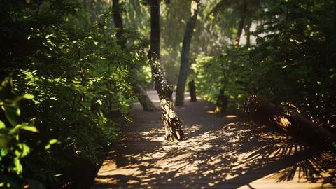 Wooden deck path in the forest Stock Illustration