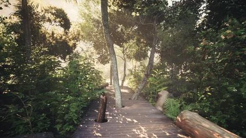 Wooden deck path in the forest Ilustración de archivo
