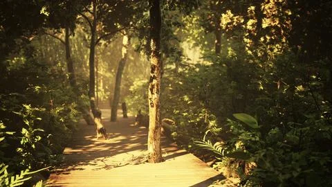 Wooden deck path in the forest Stock Illustration