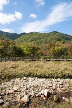 Wooden deck path with mountain background Stock Photos
