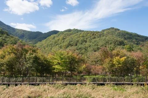 Wooden deck path with mountain background Stock Photos