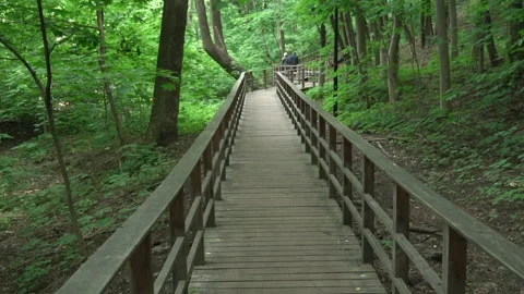 Wooden deck way Stock Footage 197065935
