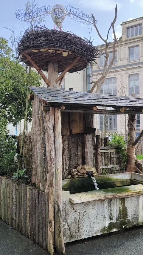 Wooden decor Video stock 330311047