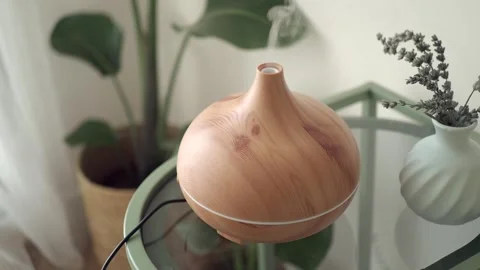 Wooden diffuser on a table in a green room setting Video stock 329817082