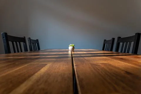 Wooden dining table with succulent. Sunlit minimalist interior with copy spac Stock Photos