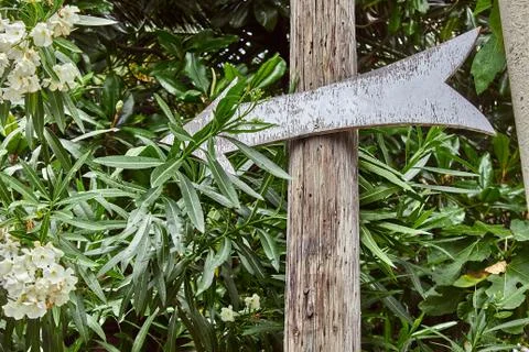 Wooden direction pointer in the park Stock Photos