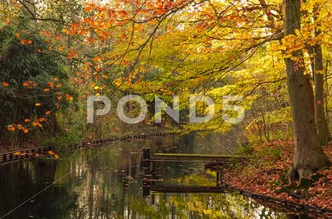 Wooden dock in the autumn Stock Photos