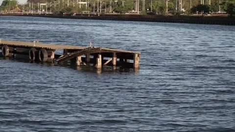 Wooden Dock Stock Footage 138219834