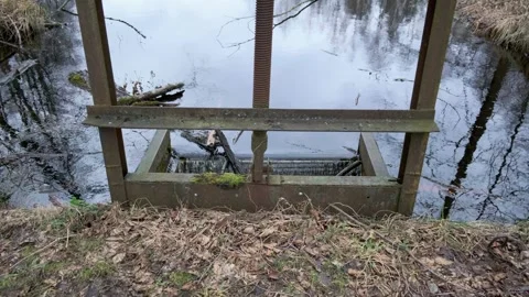 Wooden Dock Gate Over Still Swamp Water with Cypress Trees Stock Footage 330377908
