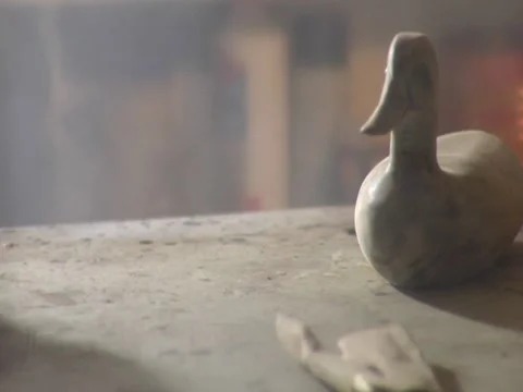 Wooden Duck Stock Footage 8697750
