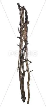 Wooden entanglement Stock Photos