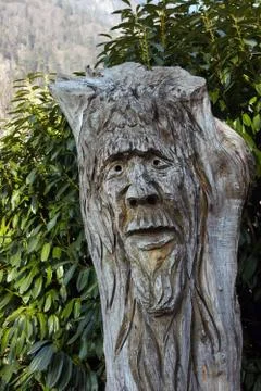 A wooden face carved in a tree stump in Interlaken Stock Photos