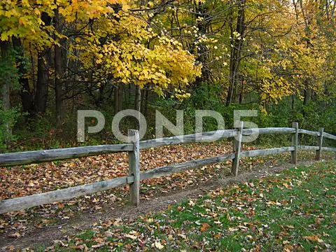 Wooden Fence In Autumn Stock Photos