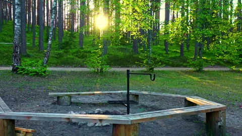 Wooden firepit seating circle in pine forest campsite at sunset glow Stock Footage 320768118