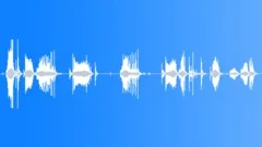 Wooden floor creaks Sound Effect