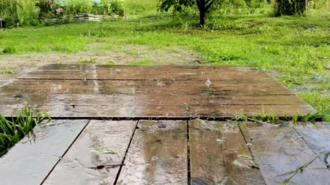 Wooden floor deck background with rain drops. Vídeos de archivo 281421312