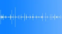 Wooden Floor - Footsteps on the Wooden Floor 02 Sound Effect
