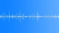 Wooden Floor - Footsteps on the Wooden Floor 01Sound Effect