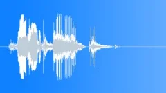 Wooden Floorboard Creak 10Sound Effect