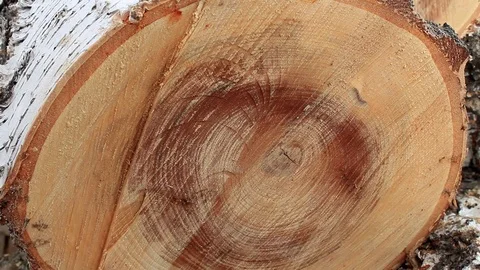 Wooden like Stock Footage 74296418