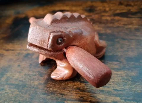 Wooden Frog Guiro. Folk hand Percussion. Stock Photos