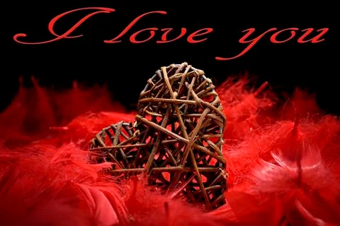 Wooden heart in red feathers Stock Photos