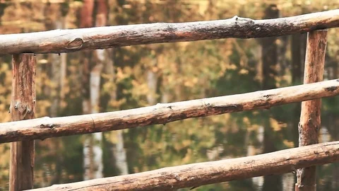 Wooden hedge from the trunks of trees by the river in autumn Stock Footage 80982621