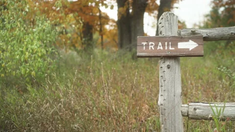 Wooden Hiking Trail Sign Pointing Forward In Autumn Fall Stock Footage