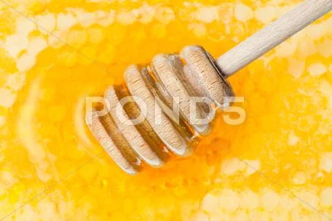 Wooden honey dipper on surface of honeycomb Stock Photos