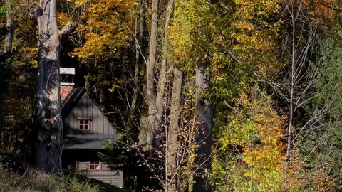 Wooden house on Prislop. 스톡 동영상 83064448