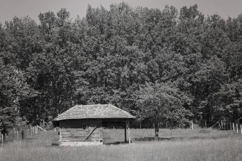 Wooden hut in the forest Foto stock gratuite