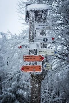Wooden information pointer Stock Photos