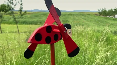 Wooden Ladybug with Two Spinning Propellers Moved by Wind Stock Footage 310889686
