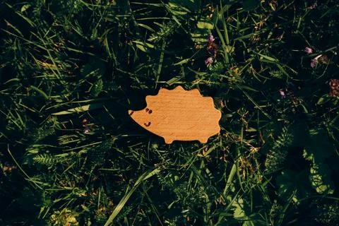 Wooden Leaf Shape Close Up on Grass Stock Photos