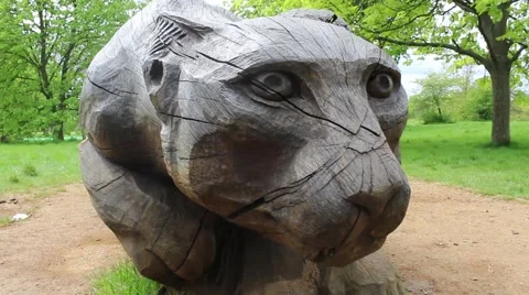 Wooden leopard 動画素材 62920145